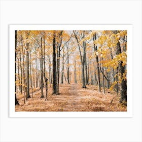 Yellow Leaf Forest Views Art Print