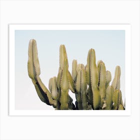 Modern Cactus Art Print