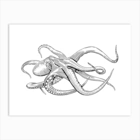 Octopus Illustration - Ocean Wildlife Art Print Art Print