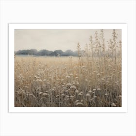 Field Of Wheat Art Print