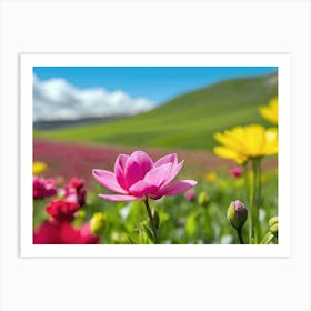 Tulip Field Art Print