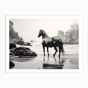 A Horse Oil Painting In Camps Bay Beach, South Africa, Landscape 4 Art Print