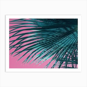 Blue-green palm leaf meets pink sky Art Print