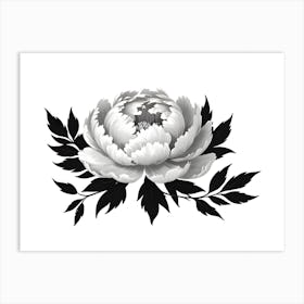 Peony Flower Art Print