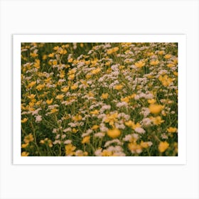 Summer Dreamin' Art Print