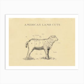 American Lamb Butcher Cuts Chart Art Print