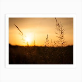 Silhouette of a Yellow Sunset // Nature Photography Art Print