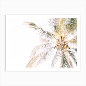 Warm Summer Palm Tree Art Print