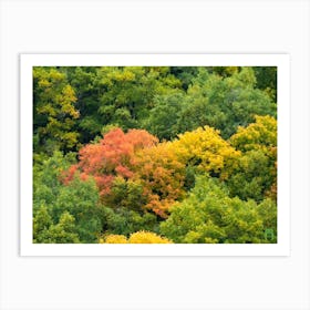 Autumn Forest 20211020 109ppub Art Print