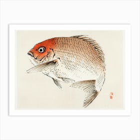 Tai (Red Seabream) Fish, Kōno Bairei Art Print