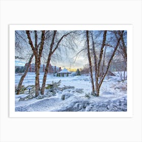 Snow Covered Trees Art Print