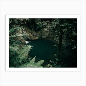 Hidden Jungle Pool Art Print