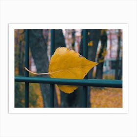 Autumn Leaf On Fence Art Print