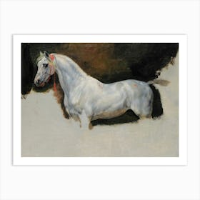 Study Of A White Horse By Horace Vernet (1789-1863) Art Print