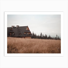 Big Meadow Cabin Art Print