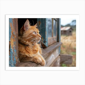 Cat Looking Out Of A Window Art Print