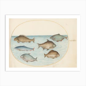 Aquatic And Shellfish Animals, Joris Hoefnagel (3) Art Print