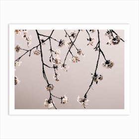 Branches Art Print