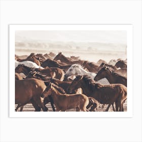 Running Horse Herd Art Print