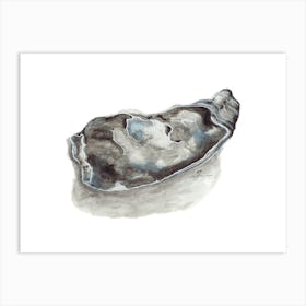 Oyster Shell in gouache Art Print