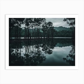 Trees On The Edge Of The Lake Art Print