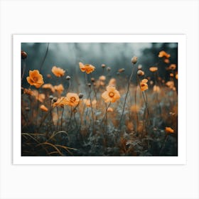 Orange Poppy No 2 Art Print