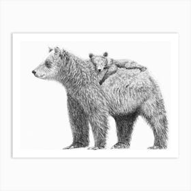 Grizzly Mother With Cub Art Print