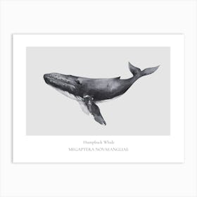 Whale And Whale Art Print