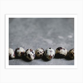 Quail Eggs 25 Art Print