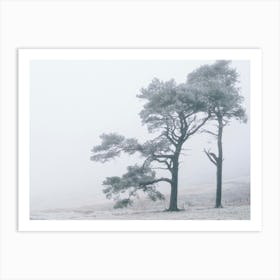 Two Trees In The Fog Art Print