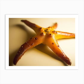 Starfish 5 Art Print