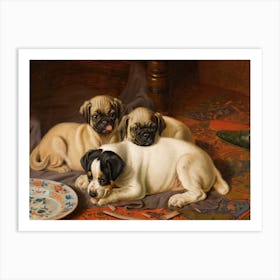 Dinner, Two Pugs And A Terrier, Horatio Henry Couldery Art Print