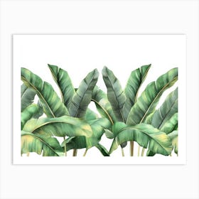 Tropical Seamless Border With Beautiful Palm Banana Leaves Art Print