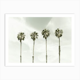 Coastal Palm Trees Art Print