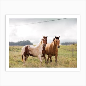 Horses In Field Art Print