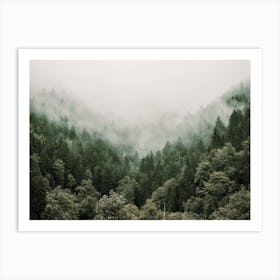 Misty Green Forest Art Print