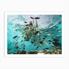 Fishes In The Ocean Art Print