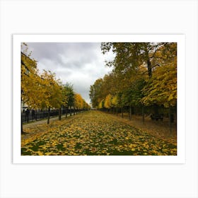 Fall Foliage in Park in Brussels, Belgium Art Print
