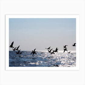 Seagulls Flying Over The Sea Photo Birds Sky landscape sky water bedroom living room lanture Art Print