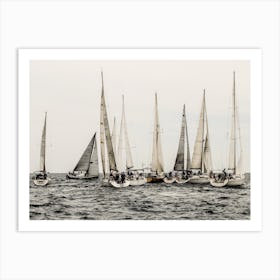 Sailboat Regatta Art Print