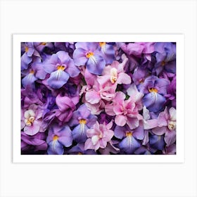 Purple Irises 2 Art Print