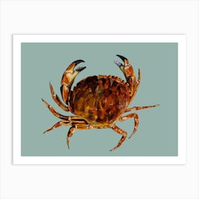 Crab On Aqua Blue Art Print
