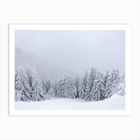 Winter wonderland | Snowy pine trees in the mist | Austria  Art Print