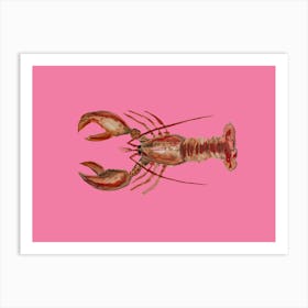 Pink Lobster 1 Art Print