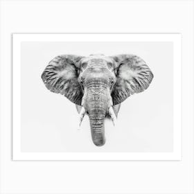 Elephant Head Art Print