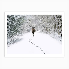 Deer In The Snow 1 Art Print