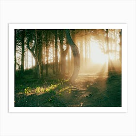 Shining Through Art Print