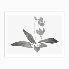 Hokusai Orchids Art Print