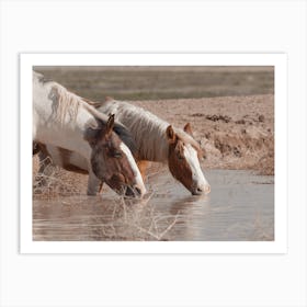 Horses Drinking Art Print