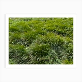 Grass By Binod Dawadi Art Print